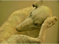 Dog 402 x 468
